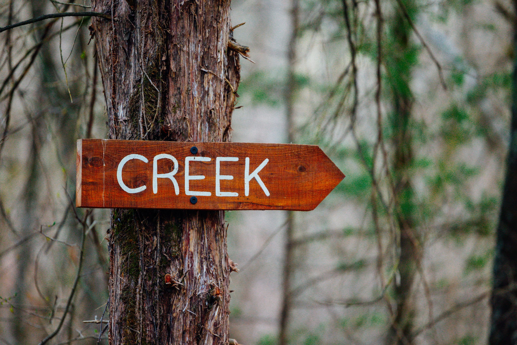 The CREEK trail sign nailed to a cedar tree on the property